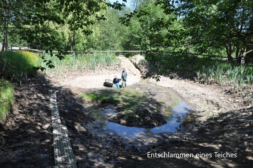 Entschlammen