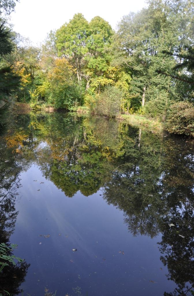 Teich 2